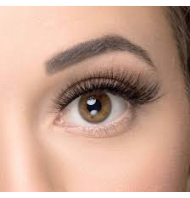 Lash and brow services